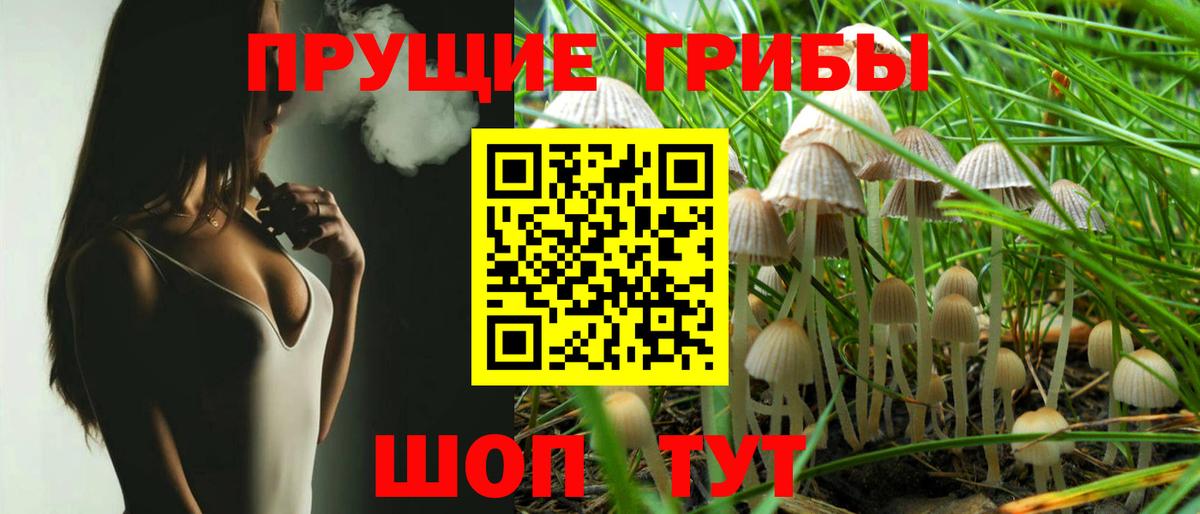 Галлюциногенные грибы Cubensis Печора