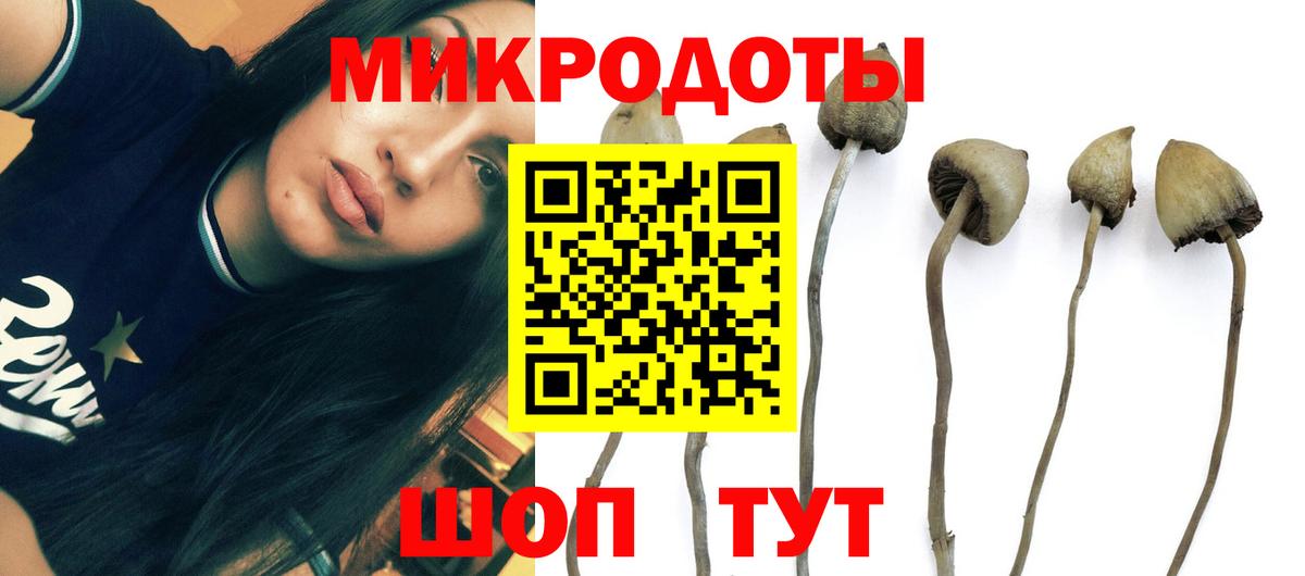 Печора  Галлюциногенные грибы Magic Shrooms  Вход с VPN 